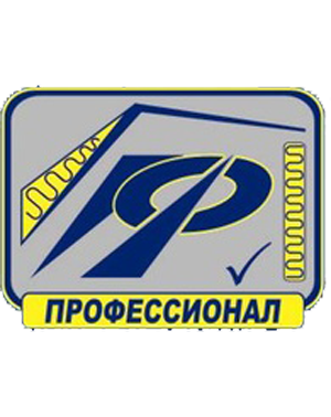 Профессионал